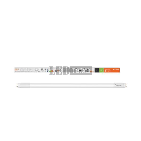 LED TUBE T8 HF P 600 7,5W 840 FR G13 Світлодіодна лампа одностороннє підключення Ledvance (4099854026072) 4099854026072 фото