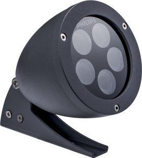 BGP312 5LED 4000K MB GG 10W Архітектурний світильник IP66 Philips (911401711692) 911401711692 фото