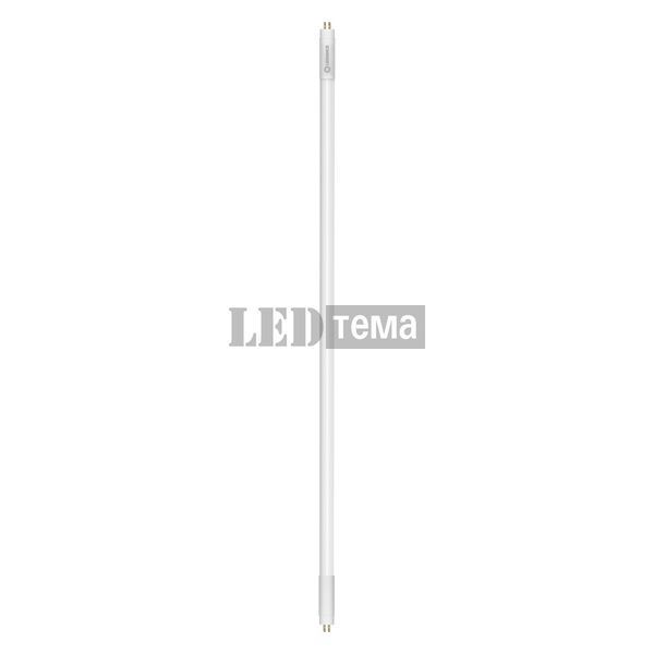 LED TUBE T5 HF L8 SHORT VALUE 288 mm 4W 840 лампа светодиодная LEDVANCE (4099854552427) 4099854552427 фото
