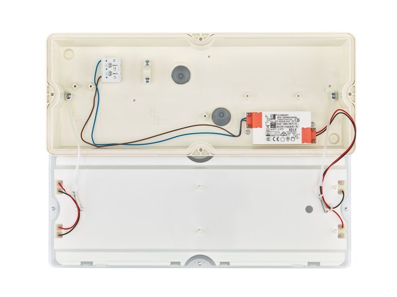 WL055V LED6S/840 PSU WH 6W 4000К Накладний світильник IP65 Philips (911401834980) 911401834980 фото
