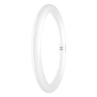 LED TUBE T9 C 32 EM VALUE 18,3W 865 FR G10Q Світлодіодна лампа одностороннє підключення Ledvance (4099854042546) 4099854042546 фото