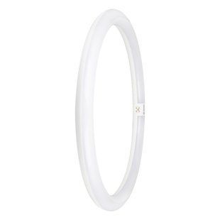 LED TUBE T9 C 40 EM VALUE 24W 840 FR G10Q Світлодіодна лампа одностороннє підключення Ledvance (4099854042560) 4099854042560 фото