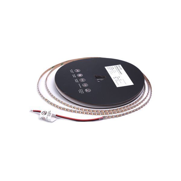 LED стрічка C6160-24V-4mm-WW IP20 3000K 9,6W 1250Lm COLORS (C6160-24V-4mm-WW) C6160-24V-4mm-WW фото
