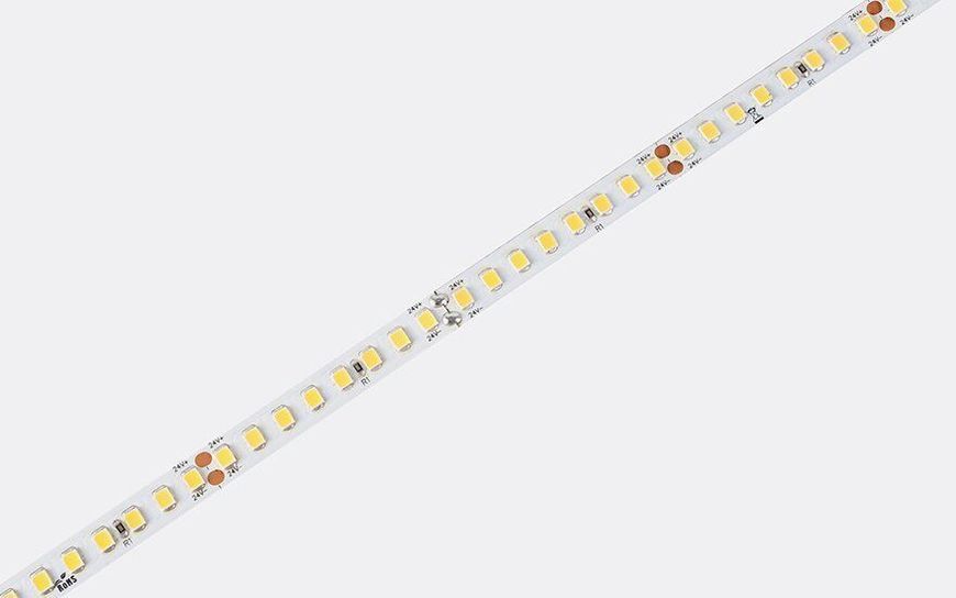 LED лента 160-2835-24V-IP20 13W 1935Lm 6000K 5м COLORS (D8160-24V-8mm-W) D8160-24V-8mm-W фото
