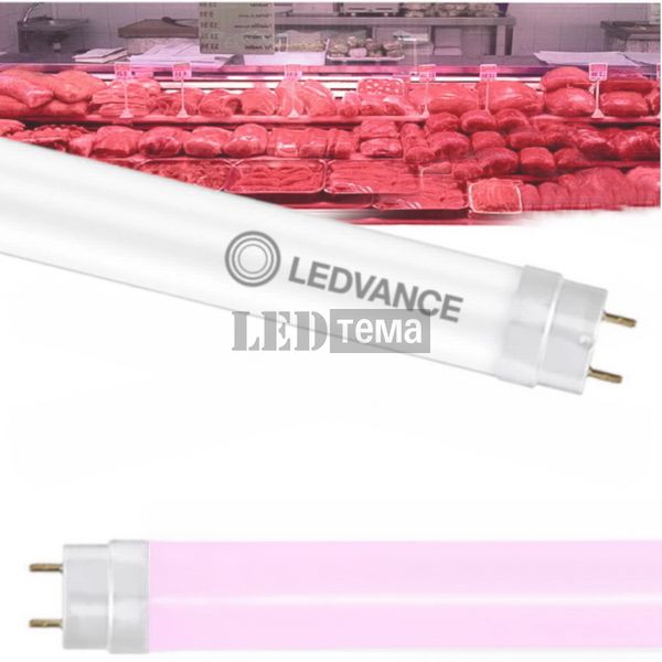 LED TUBE T8 EM FOOD P 600 mm 5.2W 833 LEDVANCE світлодіодна лампа для підсвітки м'яса (4099854044793) 4099854044793 фото