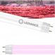 LED TUBE T8 EM FOOD P 600 mm 5.2W 833 LEDVANCE світлодіодна лампа для підсвітки м'яса (4099854044793) 4099854044793 фото 2