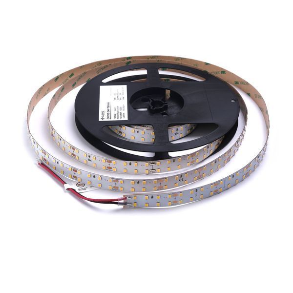 LED лента 24V-15mm-DW-IP20 5000K 18,9W COLORS (D8192-24V-15mm-DW) D8192-24V-15mm-DW фото