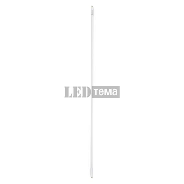 LED TUBE T5 HF HO49 PERF 1449 mm 26W 865 FR G5 Светодиодная лампа одностороннее подключение Ledvance (4099854029158) 4099854029158 фото