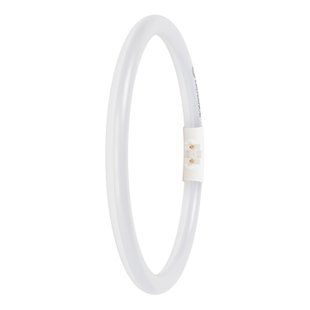 LED T5 FC 22 EXTERNAL 11.6W 840 FR 2GX13 Світлодіодна лампа керована одностороннє підключення Ledvance (4099854300820) 4099854300820 фото