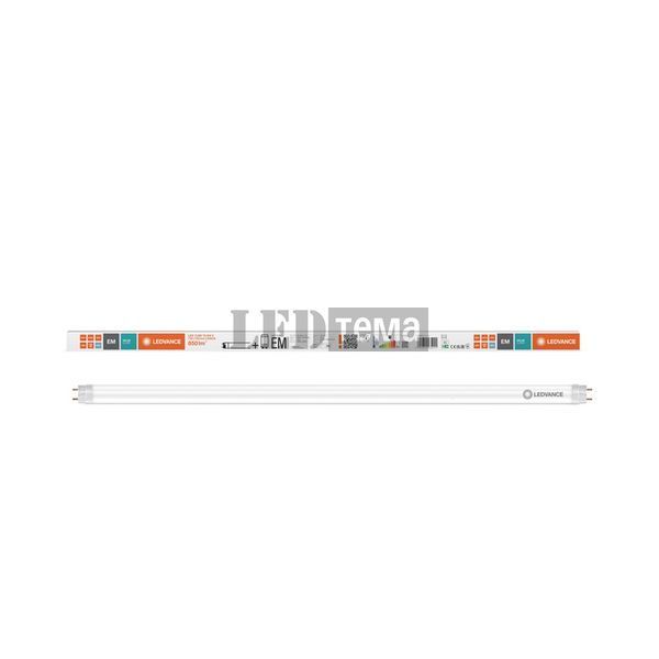 LED TUBE T8 EM VALUE 720 mm 7W 865 лампа світлодіодна LEDVANCE (4099854435041) 4099854435041 фото