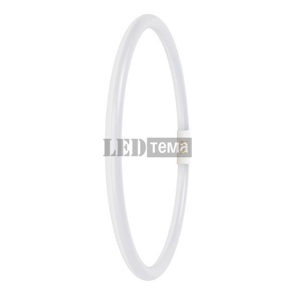 LED T5 FC 40/55 EXTERNAL 21.5W 840 2GX13 лампа світлодіодна димована LEDVANCE (4099854300882) 4099854300882 фото