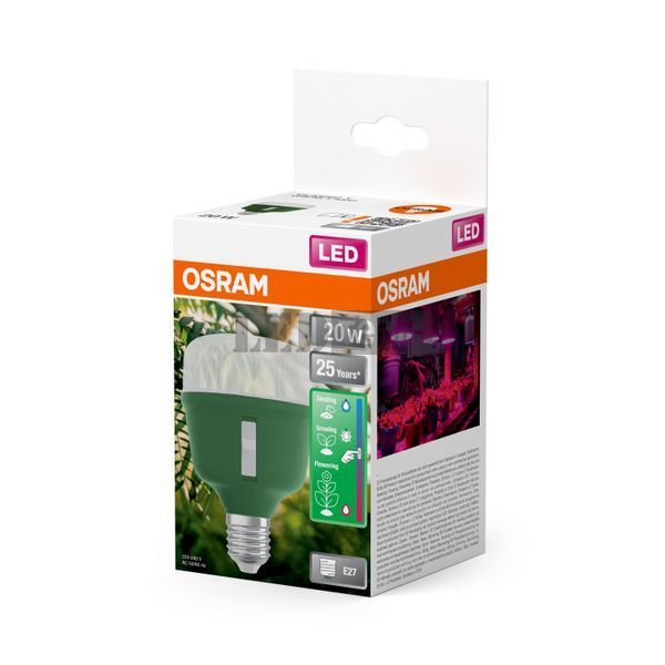 LED Star Grow Lamp 110&deg; T80 20W CL E27 Фітолампа для росту рослин Osram (4058075845800) 4058075845800 фото