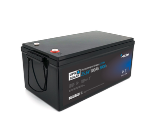 Літій-залізо-фосфатний акумулятор Merlion LiFePO4 25.6V 100AH (8S2P/BMS-100A), (522x238x225), 19kg до 5000 циклів (LFP25.6-100US) LFP25.6-100US фото