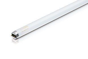TL-D 18W/54-765 1SL/25 Лампа люмінесцентна трубчаста Philips (928047305451) 928047305451 фото