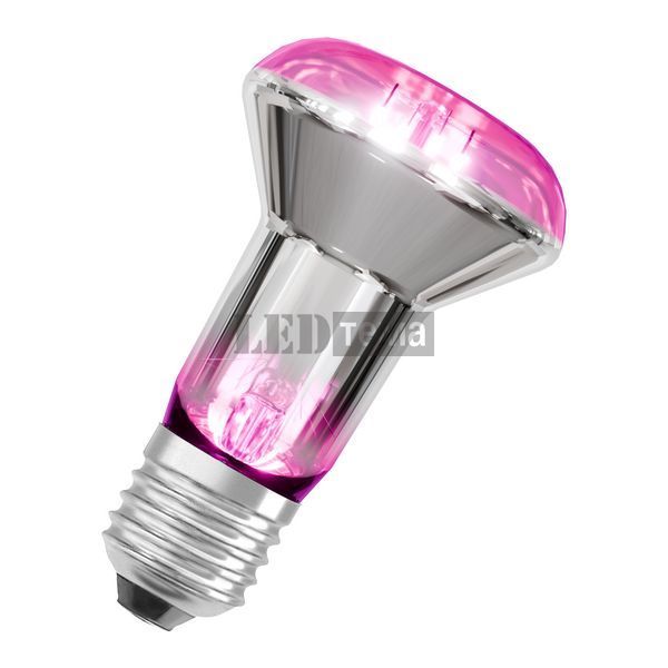 LED Star Grow Lamp Filament 100&deg; R63 7,5W E27 Фітолампа для росту рослин Osram (4099854245138) 4099854245138 фото