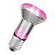 LED Star Grow Lamp Filament 100&deg; R63 7,5W E27 Фітолампа для росту рослин Osram (4099854245138) 4099854245138 фото 3