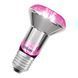 LED Star Grow Lamp Filament 100&deg; R63 7,5W E27 Фітолампа для росту рослин Osram (4099854245138) 4099854245138 фото 1