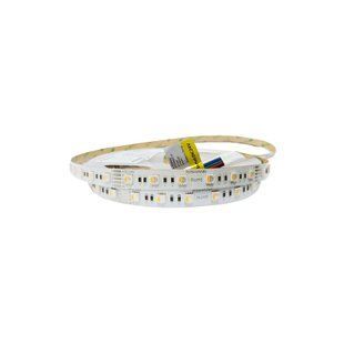 Світлодіодна стрічка 5050-60-IP20-RGB/WW-12-24 RD0260AC-A 2700K Rishang (10540) 10540 фото