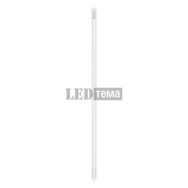 LED TUBE T8 UN V 1200 18W 840 FR G13 Світлодіодна лампа одностороннє підключення Ledvance (4099854026355) 4099854026355 фото