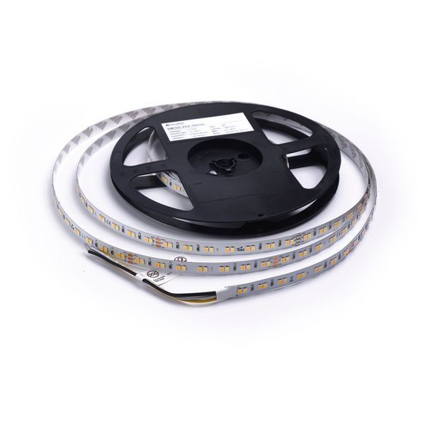 LED лента 140-2835-24V-IP20 17.1W 1710Lm 2700/6000K 5м COLORS (D8140SWW-24V-10mm) D8140SWW-24V-10mm фото