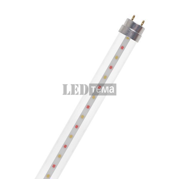 LED TUBE T8 36 EM FLUORA 1200 15W CL G13 Фітолампа для росту рослин Osram (4099854178177) 4099854178177 фото