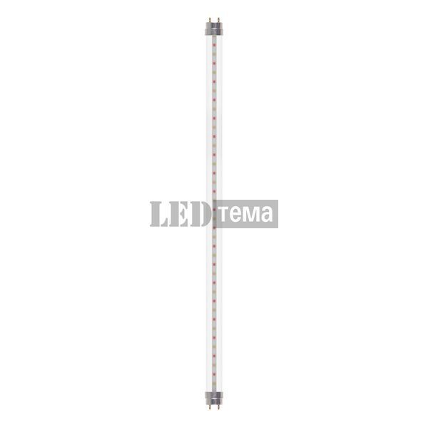 LED TUBE T8 58 EM FLUORA 1500 18,3W CL G13 Фітолампа для росту рослин Osram (4099854178214) 4099854178214 фото