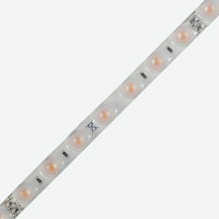 LED стрічка 24V-1007mm-NW IP65 4000K 14,4W 35&deg; COLORS (LX56-24V-1007mm-NW) LX56-24V-1007mm-NW фото