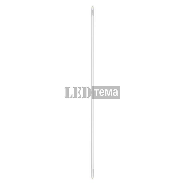 LED TUBE T5 AC HO24 PERFORMANCE 549 mm 11W 865 лампа светодиодная LEDVANCE (4099854552687) 4099854552687 фото