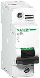Автоматичний вимикач C120H 1P 125A D Schneider Electric (A9N18492) A9N18492 фото