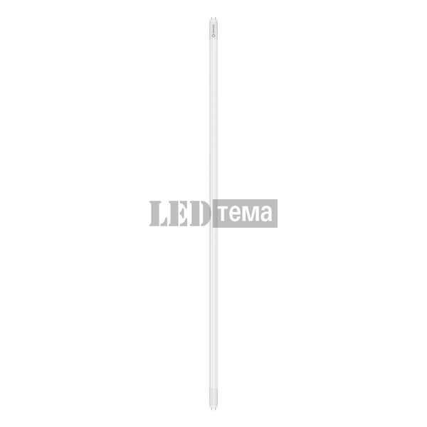 LED TUBE T8 HF P 1500 20W 840 FR G13 Світлодіодна лампа одностороннє підключення Ledvance (4099854025990) 4099854025990 фото
