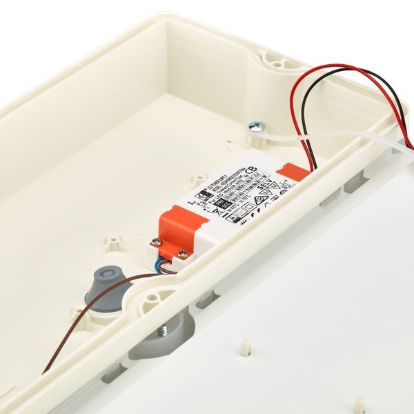 WL055V LED6S/830 PSU WH 6W 3000К Накладний світильник IP65 Philips (911401834880) 911401834880 фото
