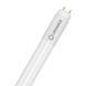 LED TUBE T8 HF V 600 8W 840 FR G13 Світлодіодна лампа одностороннє підключення Ledvance (4099854026256) 4099854026256 фото 1